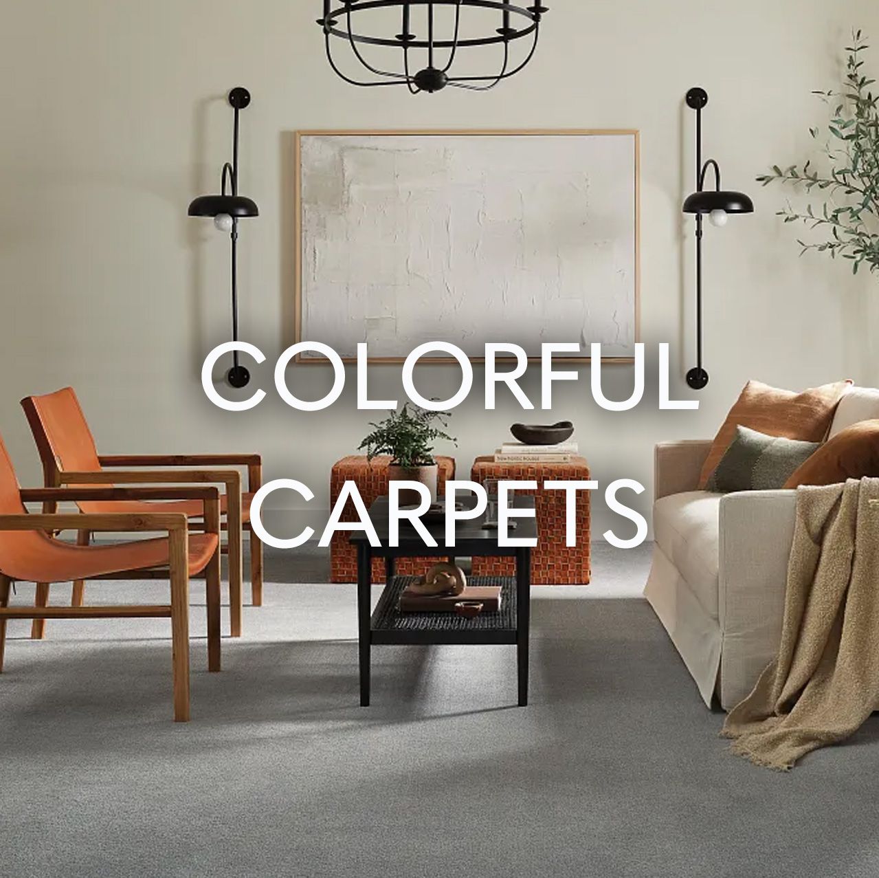 Nashville TN Colorful Carpets